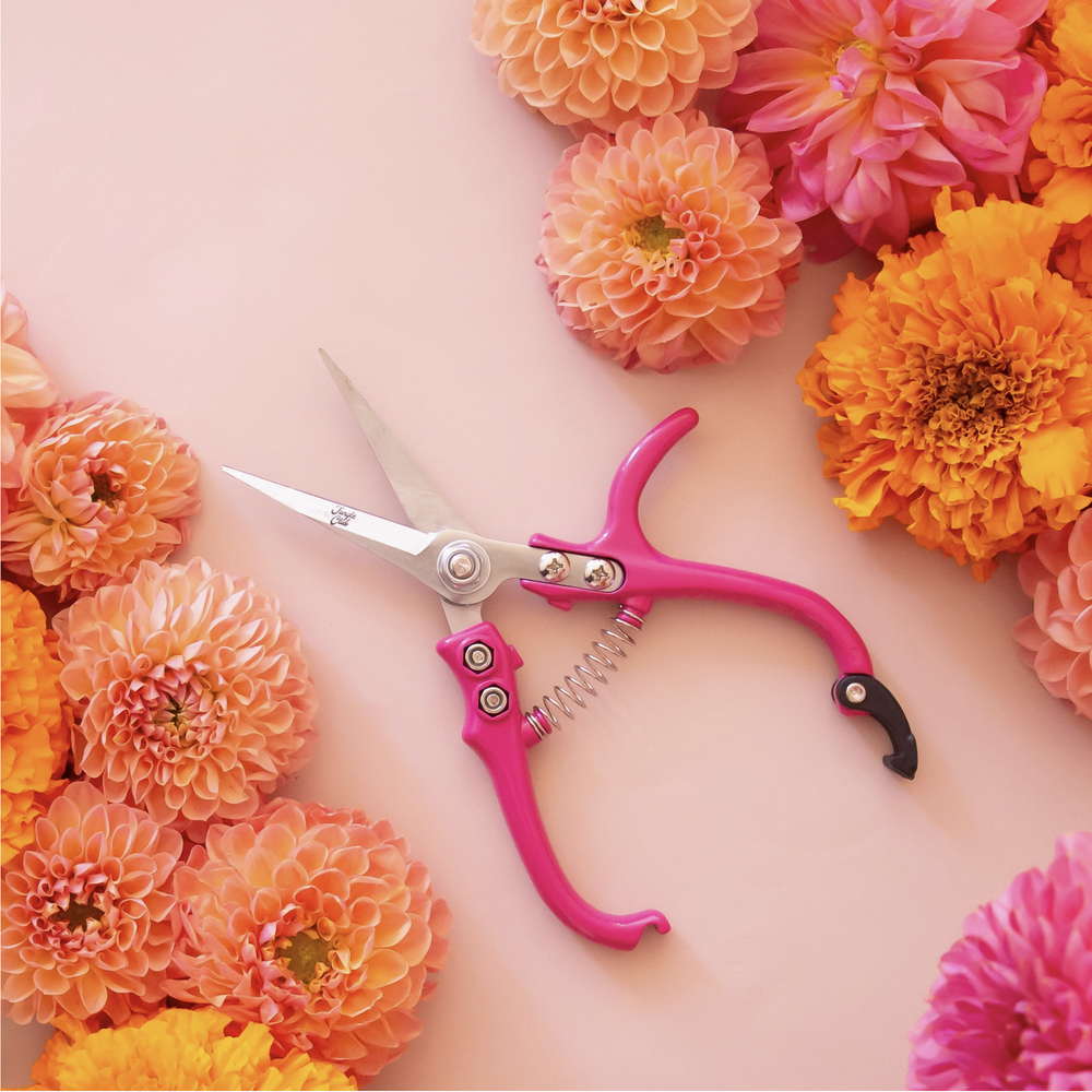 スナップオン ハサミ　SHEARS1 ピンク Pink Pruning Sheers - Plant Scissors — Stayin' Alive Succulents